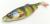 przyneta-gumowa-killer-na-sandacza-savage-gear-herring-shad-9cm- (9).jpg