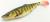 przyneta-gumowa-killer-na-sandacza-savage-gear-herring-shad-9cm- (8).jpg