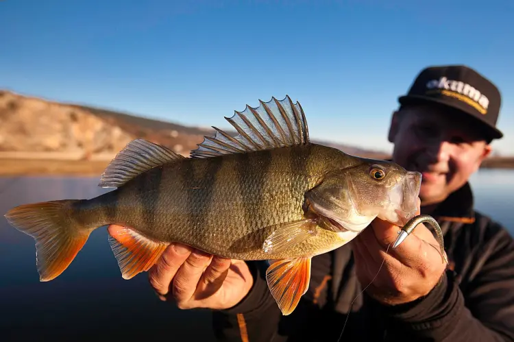sandeel-jig-head-glowka-jigowa-savage-gear-2.jpg