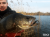 original-perch-professor-f--king-leech-guma-3.png