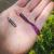 purple-pepper-perch-professor-f--king-leech-guma-3.jpg