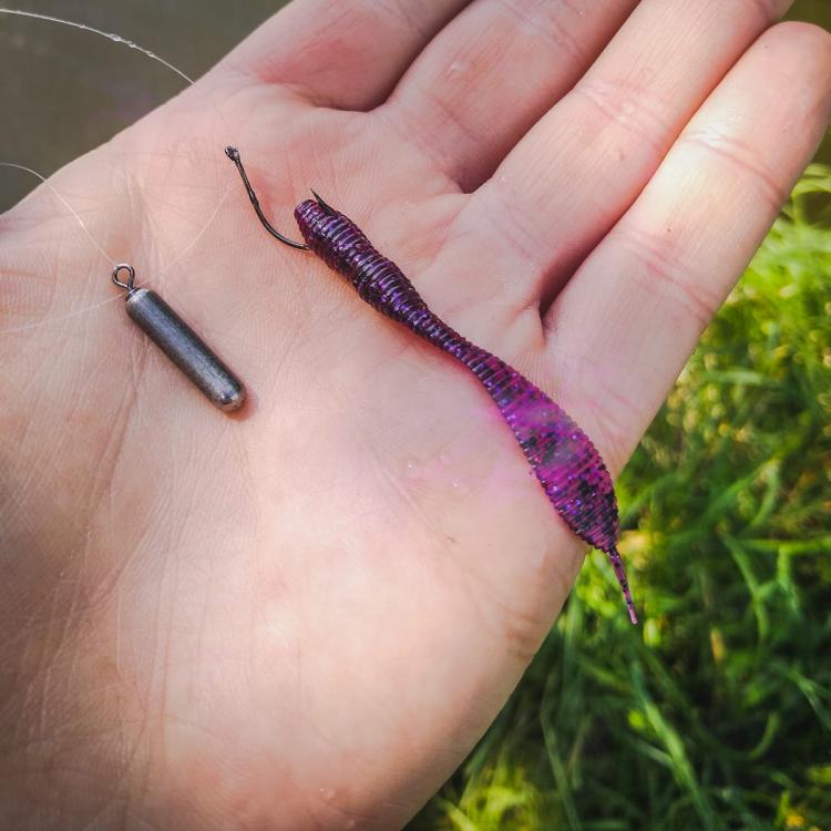 purple-pepper-perch-professor-f--king-leech-guma-3.jpg