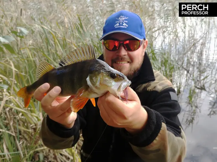 purple-pepper-perch-professor-f--king-leech-guma-7.png