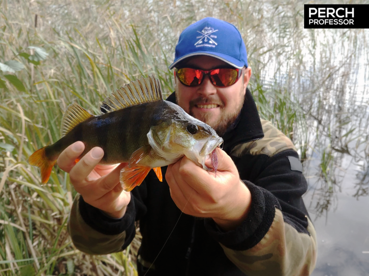 purple-pepper-perch-professor-f--king-leech-guma-7.png