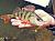 przyneta-gumowa-perch-professor-fluky-shad-bimber-tea-4.jpg