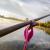 guma-perch-professor-fapping-craw-purple-pepper-4.jpg
