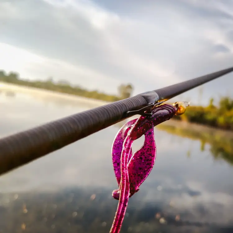 guma-perch-professor-fapping-craw-purple-pepper-4.jpg