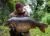 GHOST-FLUOROCARBON-PB-PRODUCTS-6.jpg