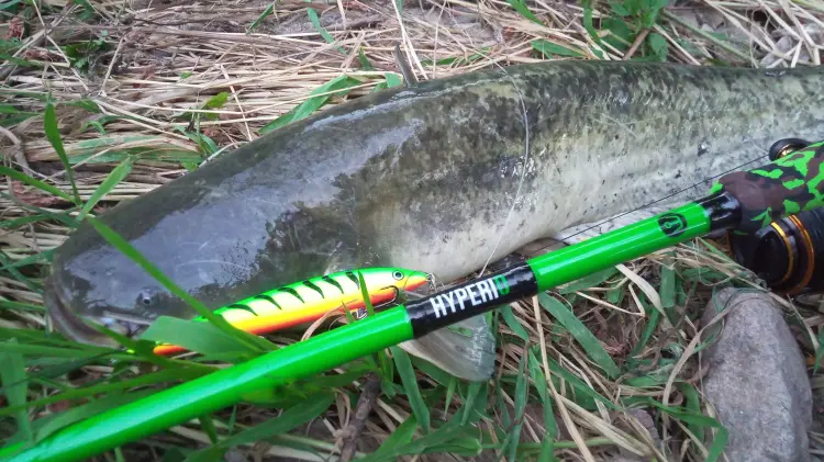 wedka-spinningowa-delphin-hyperio-2-sklady-6.jpg