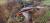 zestaw-gum-spinningowych-fox-5.jpg