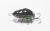 woblerek-na-wzdregi-klenie-jazie-microbait-carabu-black-green-13-3.jpg
