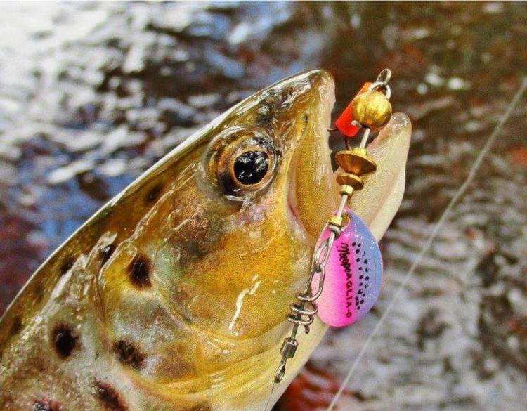 aglia-micropigments-2.jpg