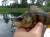 HAK-POD-CZEBURASZKE-JMC-ADVENTURE-10-3.jpg
