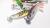 11cm-zestaw-uzbrojonych-przynet-gum-savage-gear-herring-shad-river-roach-5.jpg