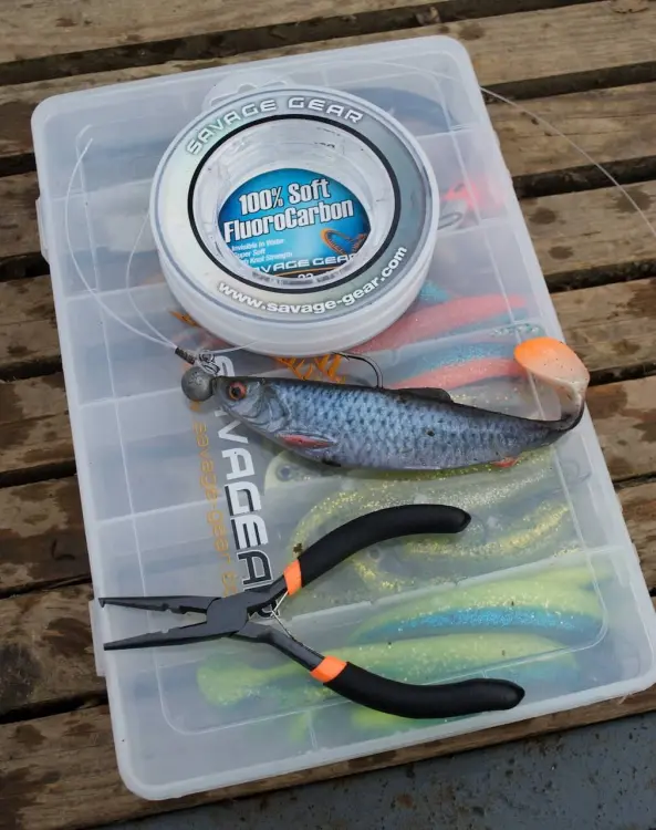 4d-herring-shad-4.jpg