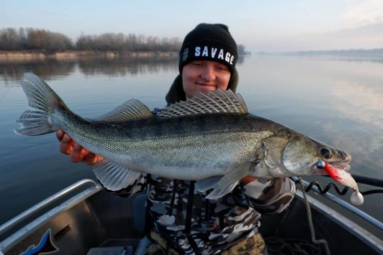 9cm-4d-herring-shad-1.jpg