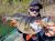 guma-berkley-realistic-roach-podobna-do-sewro-9.jpg