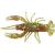 guma-relax-crawfish-1-laminated-216.jpg