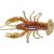 guma-relax-crawfish-2-standard-218.jpg