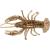 guma-relax-crawfish-2-standard-218b-1.jpg