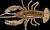 guma-relax-crawfish-2-standard-218b.jpg