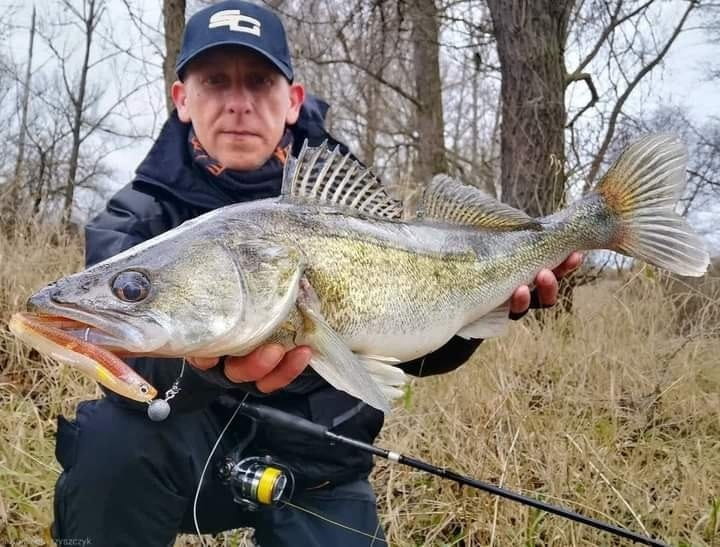 gumki-na-sandacza-savage-gear-slender-scoop-shad-6.jpg