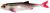 PMFL-7-ROACH-FLAT-FISH-5.5cm-ROACH-1.jpg