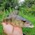 flat-fish-przyneta-guma-mikado-2.jpg