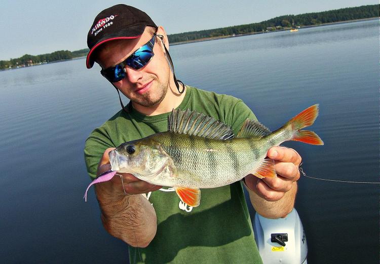 fish-fry-przyneta-mikado-guma-2.jpg
