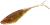 PMFY-5.5-358-FISh-FRY-5.5cm-358-1.jpg