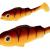 PMRFP-6.5-PERCH-G-golden-perch.jpg