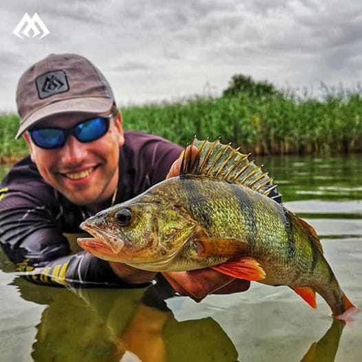 real-fish-przyneta-gumowa-mikado-okon-2.jpg