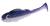 PMRFP-6.5-PERCH-N-real-fish-violet-perch-1.jpg