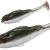 PMRFP-6.5-PERCH-N-real-fish-frog.jpg