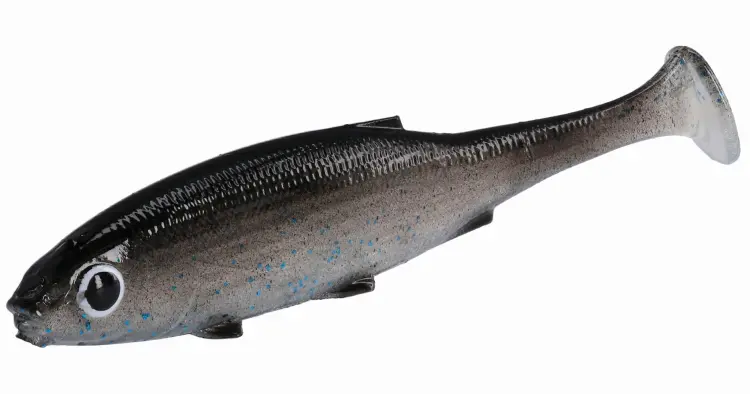 PMRFR-7-BLEAK-real-fish-blue-bleak-1.jpg