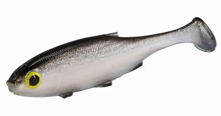 PMRFR-7-BLEAK-real-fish-shiny-bleak-1.jpg