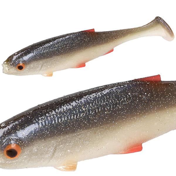 PMRF-10-ROACH-real-fish-roach.jpg