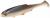PMRF-10-ROACH-real-fish-roach-1.jpg