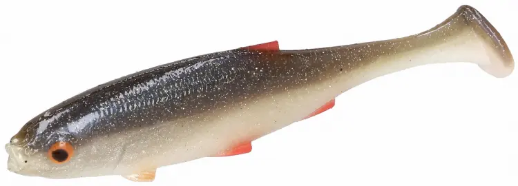 PMRF-10-ROACH-real-fish-roach-1.jpg