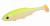 PMRFR-7-LIME-B-real-fish-lime-back-1.jpg