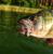 real-fish-roach-przyneta-gumowa-mikado-3.jpg