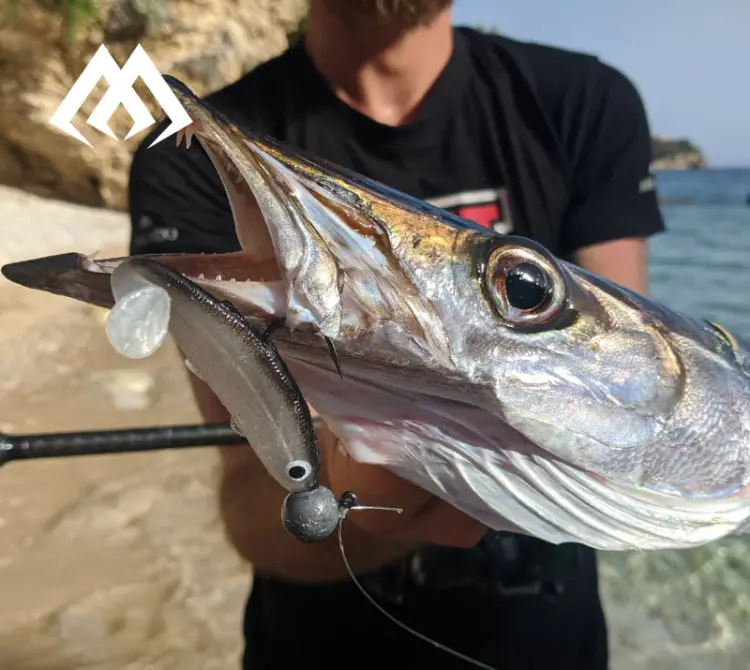 real-fish-roach-przyneta-gumowa-mikado-2.jpg