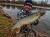 11cm-4d-herring-shad-1.jpg