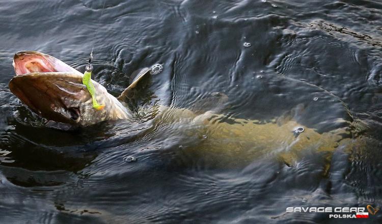 t-tail-savage-gear-guma-savage-gear-7.jpg