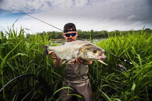 e5f377c642d690e1787b0b4b2110