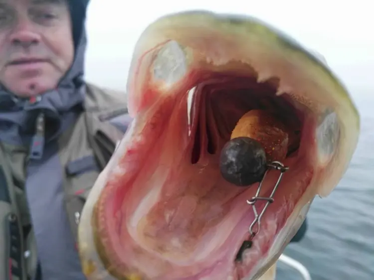 00000.jpg