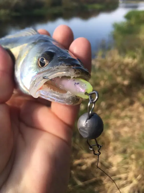000.jpg