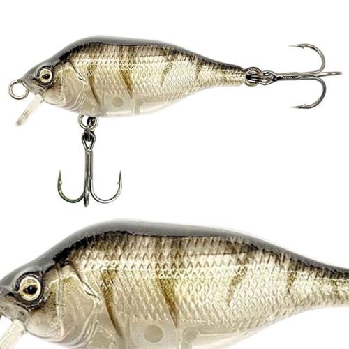wobler-fox-rage-funk-bug-sr-4cm4g-uv-Striped-Shiner-.jpg