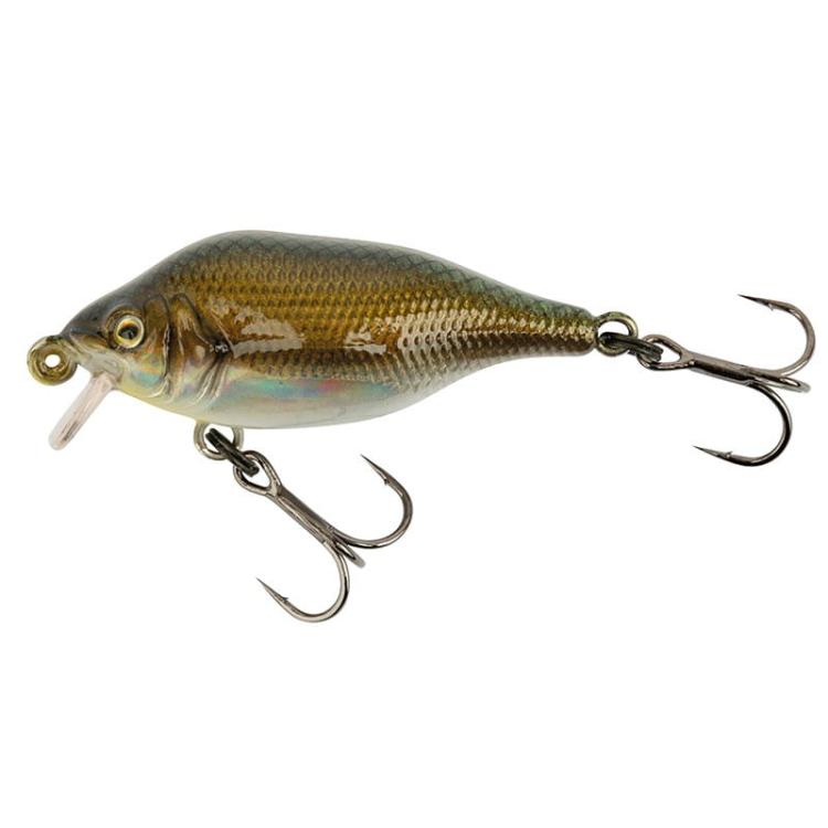 wobler-fox-rage-funk-bug-sr-4cm4g-uv-Real-Shiner-1.jpg