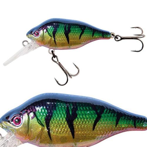 wobler-fox-rage-funk-bug-dr-5cm7g-uv-Original-Perch-.jpg
